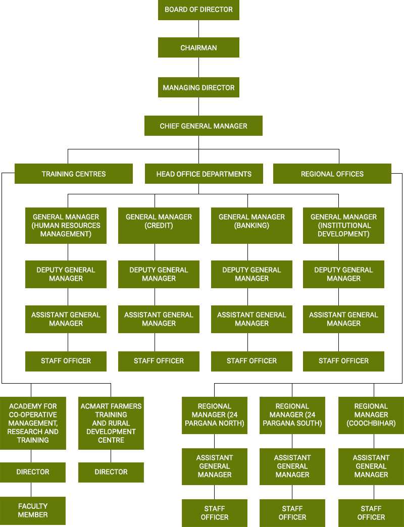 WBSCB - Organizational set up